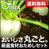 Ｏｉｓｉｘ（おいしっくす）