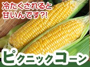 �s�N�j�b�N�R�[��