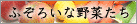 �ӂ��낢�Ȗ��