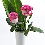 3�D2����1�x�̐��`�F�b�N