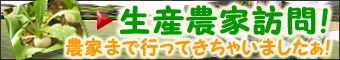 �A�t�B���G�C�g�v���O�����Q���̎���1�@oisix�ق���