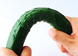 しなやかで折ると「ポクッ」といいます