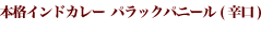 本格インドカレー パラックパニール (辛口)