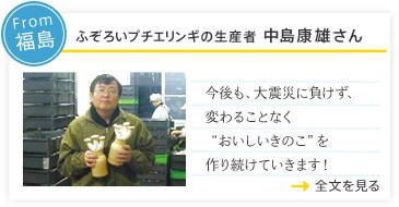 �ӂ��낢�v�`�G�����M�̐��Y�ҁ@�����N�Y����(������)����̃��b�Z�[�W��\������