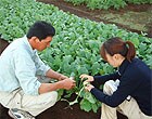 あなたの変りに探してきます