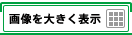 �摜��傫���\��