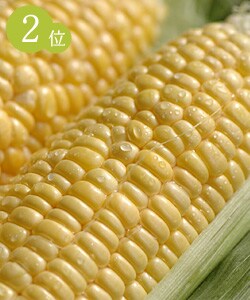����ΐl�C���i����