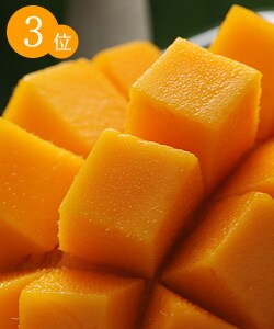 ����ΐl�C���i����