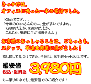 ���q�l�̂��v�]�ɂ��������āA���p�ӂ������܂����I����͂���y�Z�b�g�s�����B�ň��l�I�ŁE������3,980�~