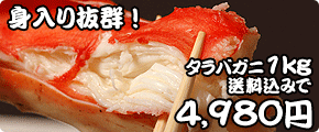 ���̍���R�I�X�y�V�����a�h�f�уK�j