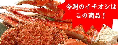 ���T�̃C�`�I�V�͂��̏��i!!�@�O�傪�ɂ��������Z�b�g