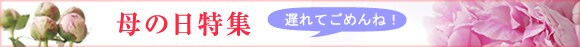 母の日には遅れてしまうけど・・・今から伝えたい「ありがとう」をお手伝い
