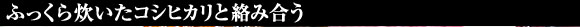 ���䌧����g�Ă��I���i�Z�b�g�h���Y�n�����I