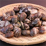 伊勢湾産・大粒天然アサリ