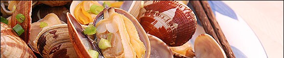 �ɐ��p�Y�E�嗱�V�R�A�T��