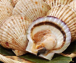 プロが確かな目で厳選した獲れたてのホタテ貝を、北海道からお届けします!
