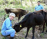 �����̖ڂŊm���߂��f�ނ������g���L���В��B��茧�̒����q��ŁA�����̓����̎���܂Ŏn�߂Ă��܂��܂����B