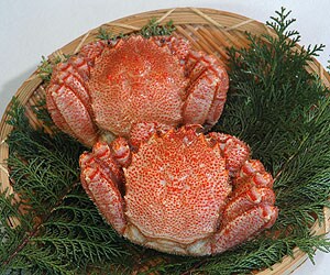 �т��Ɂi400g�~2���j