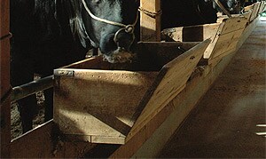 �����̊m���ȁA�㎿�̍��јa������������邱�Ƃ̋������u�đ�Y���v�B<