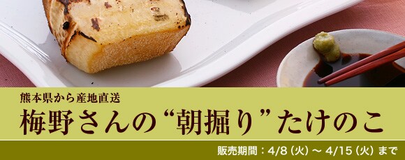 �F�{������g�~�삳��́g���@��h�����̂��h���Y�n�����I