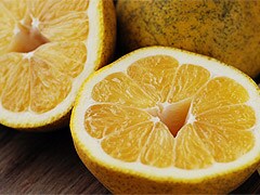 ���g�ɂ͑S���e���͂���܂���B�ނ���O���̉����͎���ł�������n�������؁B