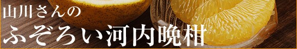 �F�{������g�R�삳��̂ӂ��낢�͓��ӊ��h���Y�n�����I