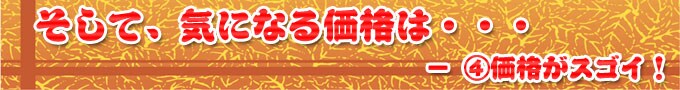 �����āA�C�ɂȂ鉿�i�́E�E�E�@�| �S�j���i���X�S�C�I