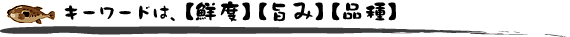 �L�[���[�h�́A�y�N�x�z�y�|�݁z�y�i��z