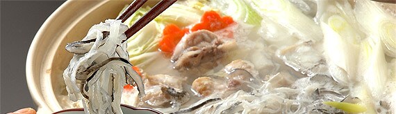 ���̓�����Ă��������B����Ȃɂ��t�O�̔炪����A�X�[�v�͂Ƃ��ƁE�E�E�B