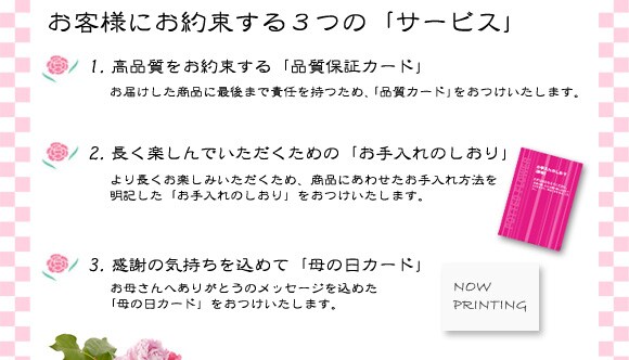 ���q�l�ɂ��񑩂���R�́u�T�[�r�X�v