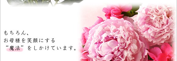 �g���@�́u�����v�u�[�P�h
