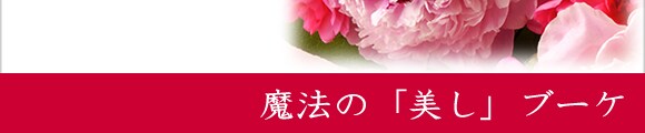 �g���@�́u�����v�u�[�P�h