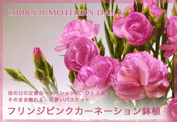 ���̂܂܏����A�����o�X�P�b�g�B�t�����W�s���N�J�[�l�[�V�������A