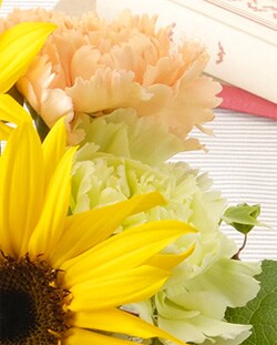 �_�炩�Ȍ������ 2�F�̃J�[�l�[�V����