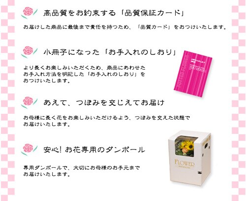 �f�U�C�i�[�Y�A�����W�����g�i�X�}�C���j����