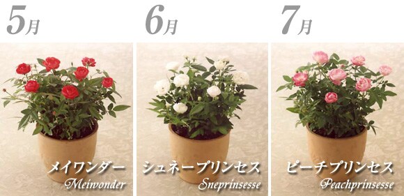 5�� 6�� 7��