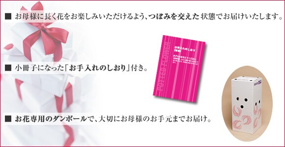 3�񂠂肪�Ƃ��𑡂� �~�j�`���A���[�Y�R�[�X����