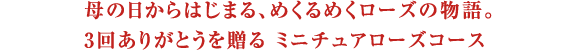 ��̓�����͂��܂�A�߂���߂����[�Y�̕���B3�񂠂肪�Ƃ��𑡂� �~�j�`���A���[�Y�R�[�X