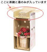 お届け時の様子