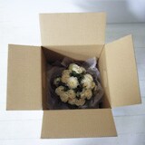 「RE rose」 rose arrangement premium white limited