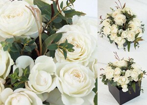 �������������ď�i�Ȃ���l�� premium white