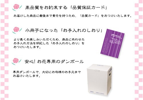 �f�U�C�i�[�Y�A�����W�����g(�v���U�[�u�h���[�Y)����