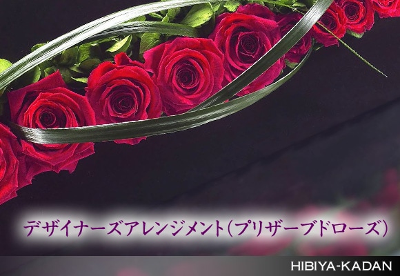 �f�U�C�i�[�Y�A�����W�����g(�v���U�[�u�h���[�Y)