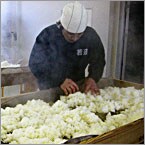 �𑠕��i