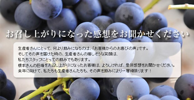 ���{����̋�����������オ��ɂȂ������q�l ����A���z������������������