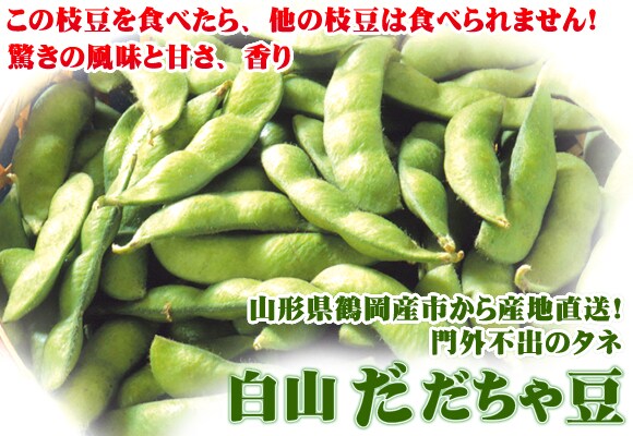 �R�`������g��O�s�o�̃^�l�@���R�������ᓤ�@�h���Y�n�����I