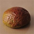 �p���h���[�i�i�����j