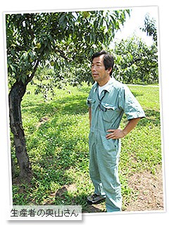 黄桃に魅せられた奥山さん