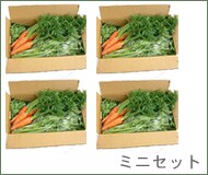 【定期便・全4回】 7〜8種セット