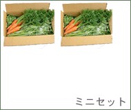 【定期便・全4回】 7〜8種セット
